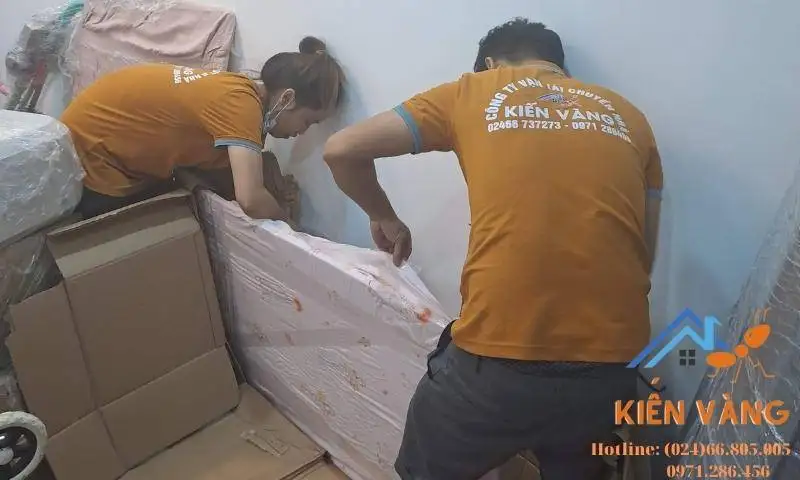 dịch vụ chuyển nhà kiến vàng